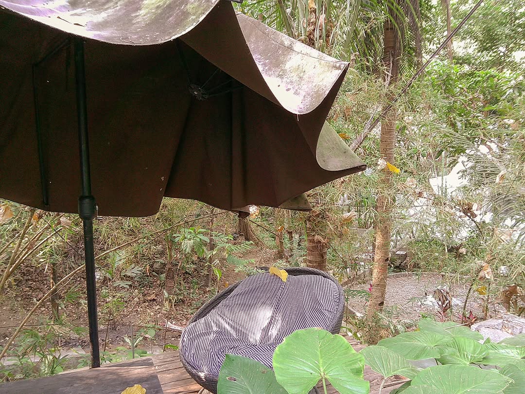 Domescape — dome exterior with natural surroundings and camp setup